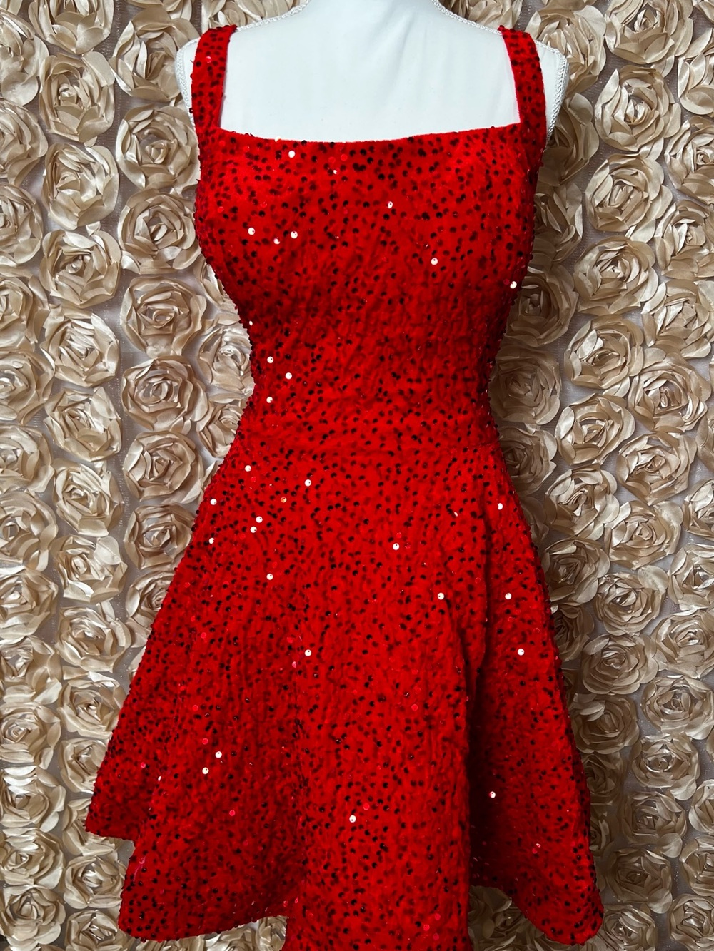 Red Sequin Fit & Flare Dress
🚨 NEW WITHOUT TAGS🚨